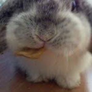 Meet your Posher, Tiffanie